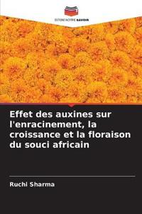 Effet des auxines sur l'enracinement, la croissance et la floraison du souci africain