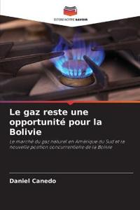 Le gaz reste une opportunité pour la Bolivie