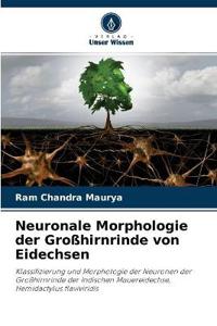 Neuronale Morphologie der Großhirnrinde von Eidechsen