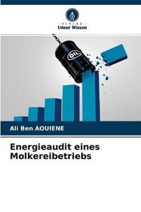 Energieaudit eines Molkereibetriebs