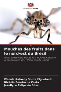 Mouches des fruits dans le nord-est du Brésil
