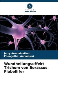 Wundheilungseffekt Trichom von Borassus Flabellifer