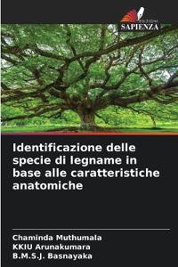 Identificazione delle specie di legname in base alle caratteristiche anatomiche