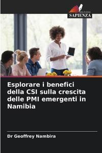 Esplorare i benefici della CSI sulla crescita delle PMI emergenti in Namibia