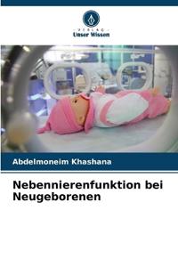 Nebennierenfunktion bei Neugeborenen
