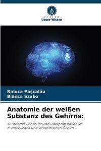 Anatomie der weißen Substanz des Gehirns