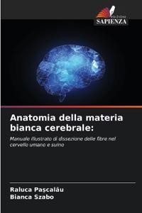 Anatomia della materia bianca cerebrale
