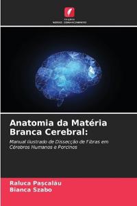 Anatomia da Matéria Branca Cerebral