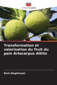 Transformation et valorisation du fruit du pain Artocarpus Altilis