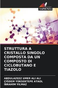 Struttura a Cristallo Singolo Composta Da Un Composto Di Ciclobutano E Tiazolo