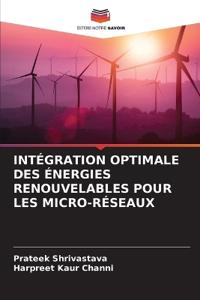Intégration Optimale Des Énergies Renouvelables Pour Les Micro-Réseaux