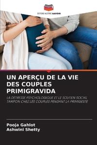 Un Aperçu de la Vie Des Couples Primigravida