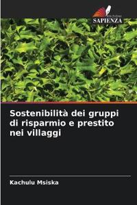 Sostenibilità dei gruppi di risparmio e prestito nei villaggi
