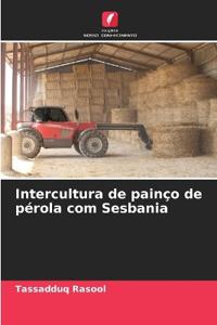 Intercultura de painço de pérola com Sesbania