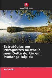 Estratégias em Phragmites australis num Delta do Rio em Mudança Rápida