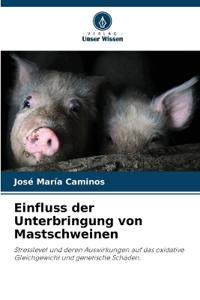Einfluss der Unterbringung von Mastschweinen