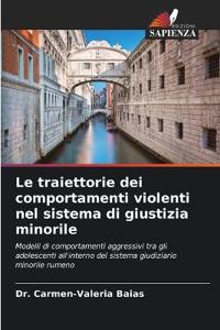 Le traiettorie dei comportamenti violenti nel sistema di giustizia minorile