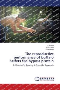 The reproductive performance of buffalo heifers fed bypass protein