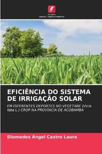 Eficiência Do Sistema de Irrigação Solar