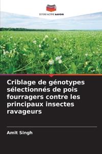 Criblage de génotypes sélectionnés de pois fourragers contre les principaux insectes ravageurs