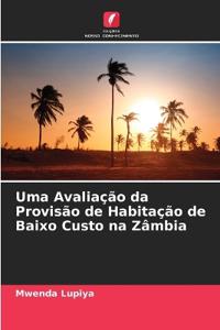 Uma Avaliação da Provisão de Habitação de Baixo Custo na Zâmbia