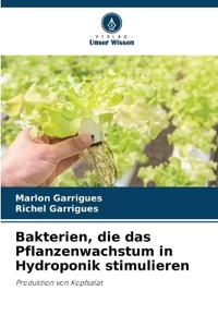 Bakterien, die das Pflanzenwachstum in Hydroponik stimulieren