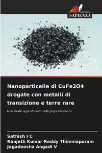 Nanoparticelle di CuFe2O4 drogate con metalli di transizione e terre rare