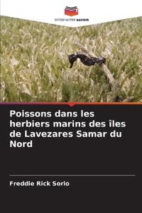 Poissons dans les herbiers marins des îles de Lavezares Samar du Nord