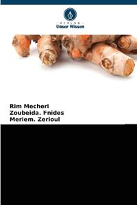 Ethnobotanische Untersuchung Der Verwendung Von Kurkuma
