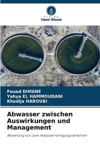 Abwasser zwischen Auswirkungen und Management