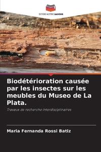 Biodétérioration causée par les insectes sur les meubles du Museo de La Plata.