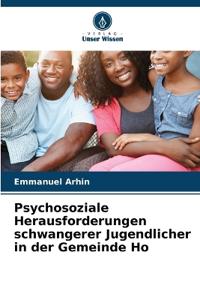 Psychosoziale Herausforderungen schwangerer Jugendlicher in der Gemeinde Ho