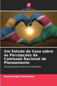 Um Estudo de Caso sobre as Percepções da Comissão Nacional de Planeamento