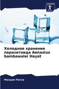 ???????? ???????? ??????????? Aenasius bambawalei Hayat