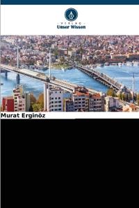 Slums und Sozialwohnungen in Istanbul