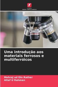 Uma introdução aos materiais ferrosos e multiferróicos