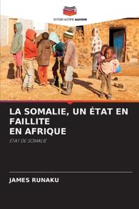 La Somalie, Un État En Faillite En Afrique