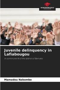 Juvenile delinquency in Lafiabougou