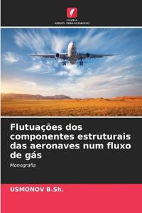 Flutuações dos componentes estruturais das aeronaves num fluxo de gás
