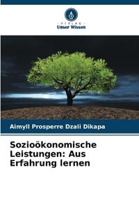 Sozioökonomische Leistungen