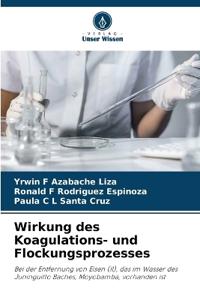 Wirkung des Koagulations- und Flockungsprozesses
