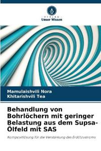 Behandlung von Bohrlöchern mit geringer Belastung aus dem Supsa-Ölfeld mit SAS