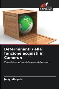 Determinanti della funzione acquisti in Camerun