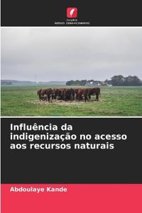 Influência da indigenização no acesso aos recursos naturais