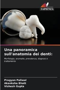 Una panoramica sull'anatomia dei denti