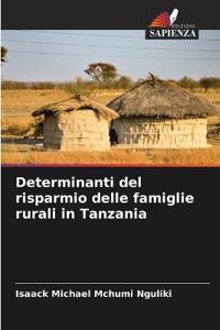 Kirjan kansi "Determinanti del risparmio delle famiglie rurali in Tanzania"