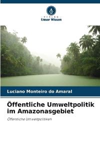 Öffentliche Umweltpolitik im Amazonasgebiet