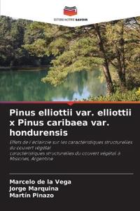 Pinus elliottii var. elliottii x Pinus caribaea var. hondurensis