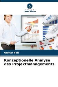 Konzeptionelle Analyse des Projektmanagements