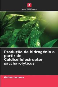 Produção de hidrogénio a partir de Caldicellulosiruptor saccharolyticus